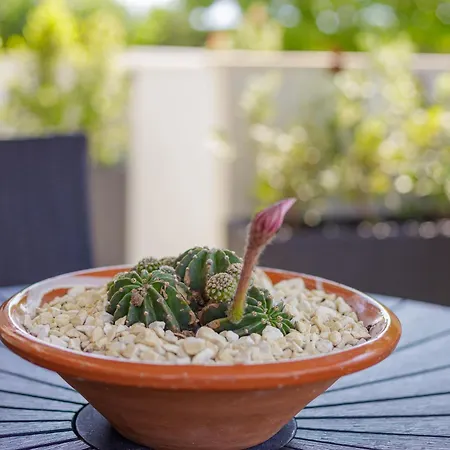 Cosy Πανσιόν *