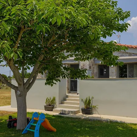 Cosy Analipsis (Messinia)
